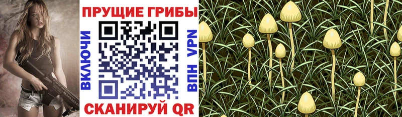 Галлюциногенные грибы прущие грибы  MEGA как зайти  Яровое  где найти наркотики 